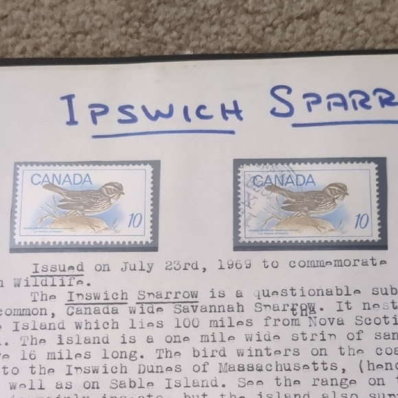 Ipswich Sparrow Home Design Stamp - Picture 2 of 2